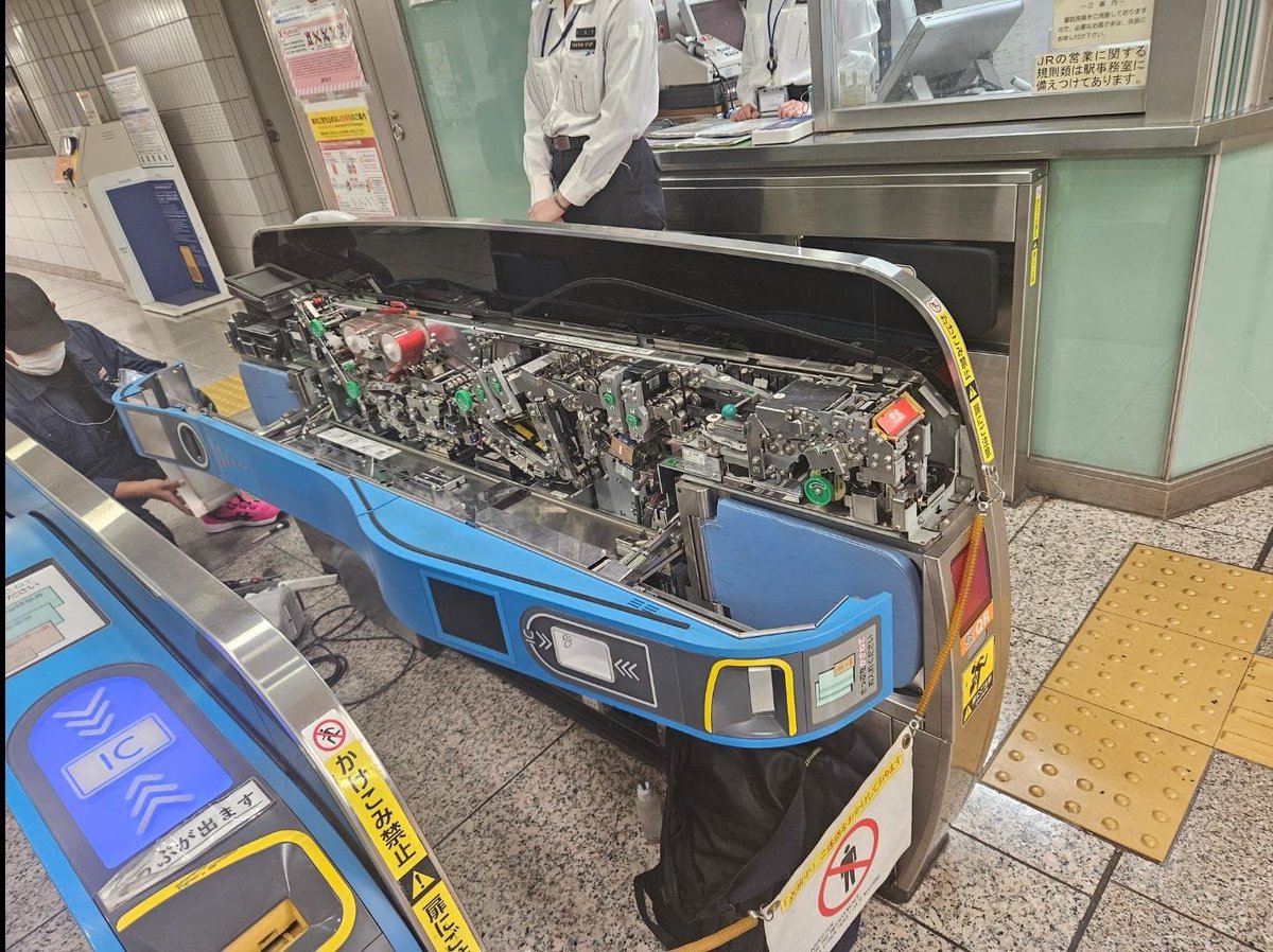 Phoenix𝕏 tweet media