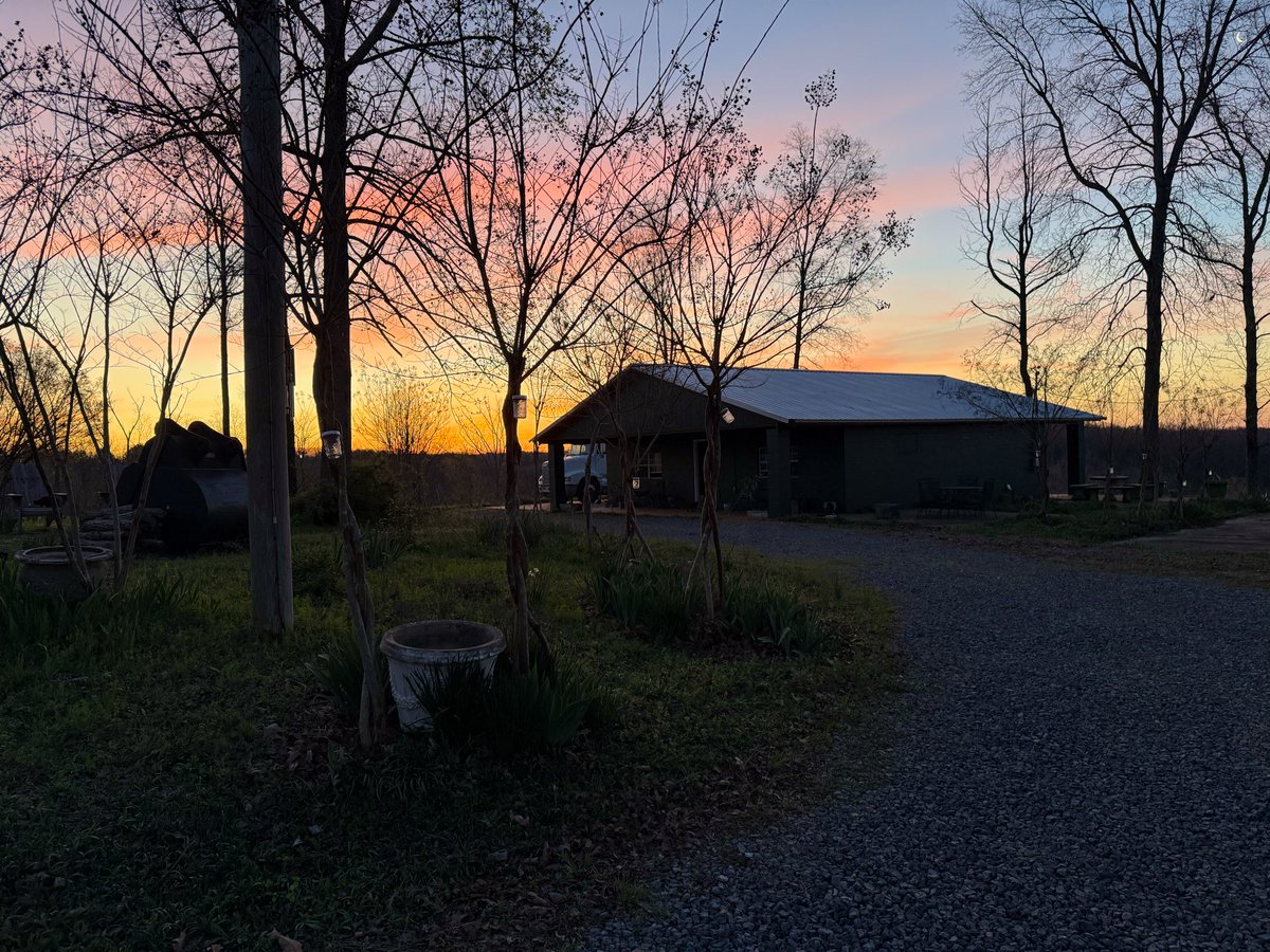 Little Cruber 𝕏 tweet media