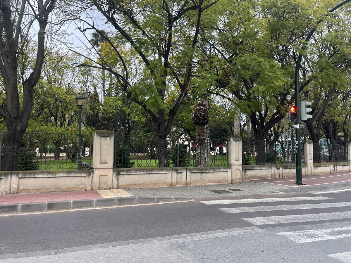 JUNTA DISTRITO NORTE MURCIA tweet media