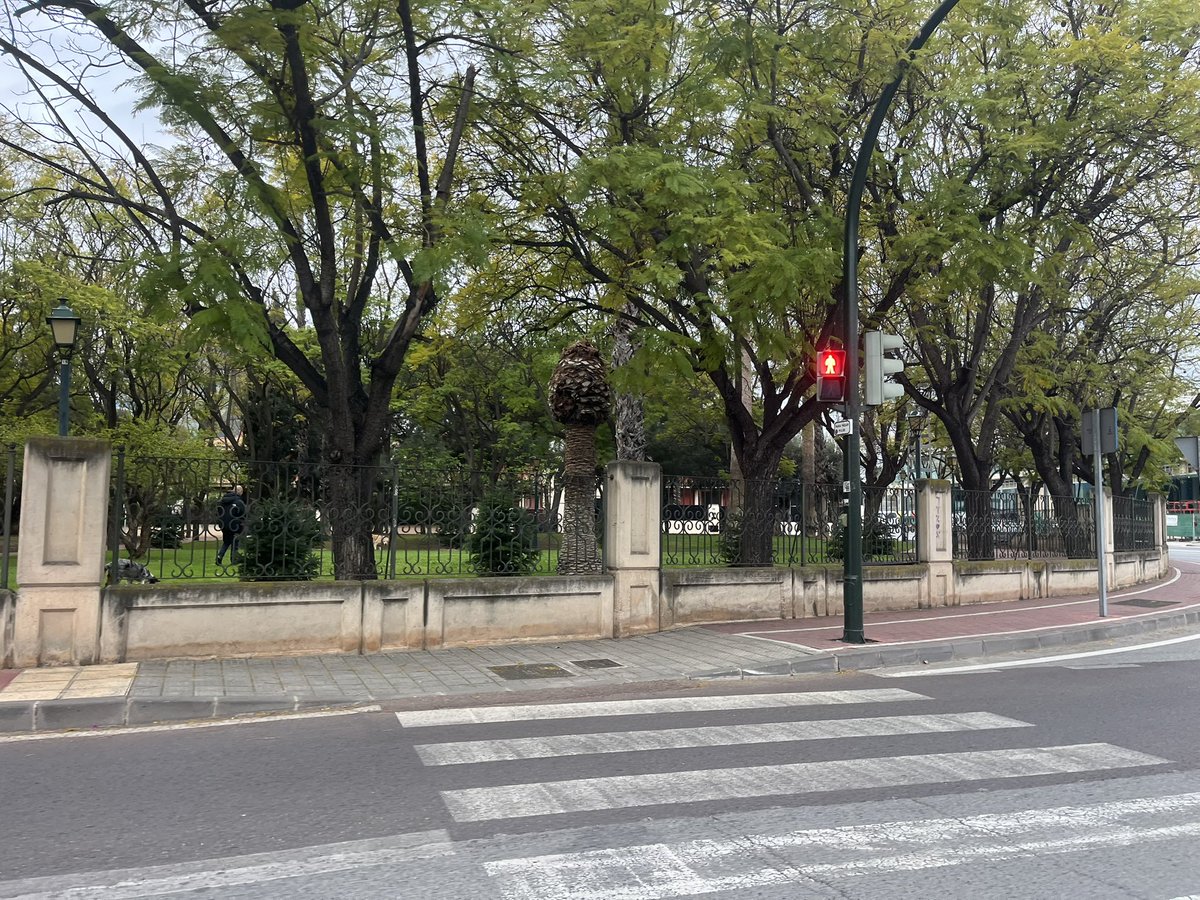 JUNTA DISTRITO NORTE MURCIA tweet media