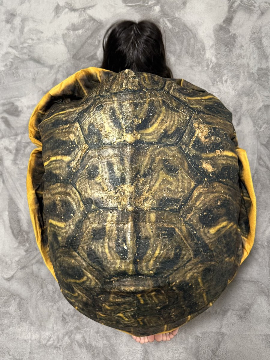 鈴木聖　Takara Suzuki tweet media