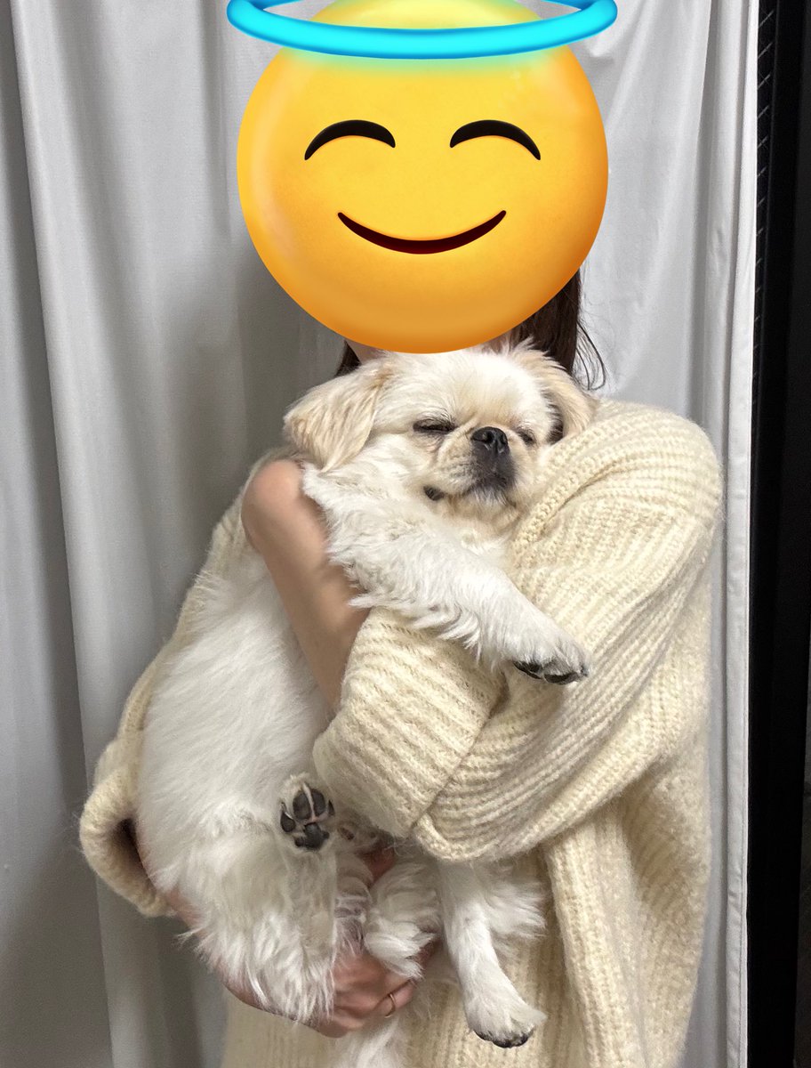 pucchopeki's tweet photo. ずっとついてきてふんふん言うから抱っこしたらこれ👶🏻ྀི https://t.co/4gOeK0Pi4h