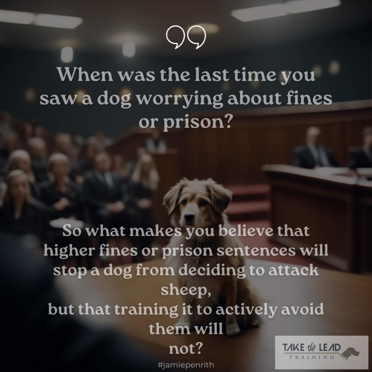 Jamie penrith tweet media