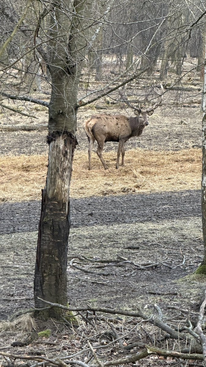 Nazmul Hashan 📸 tweet media