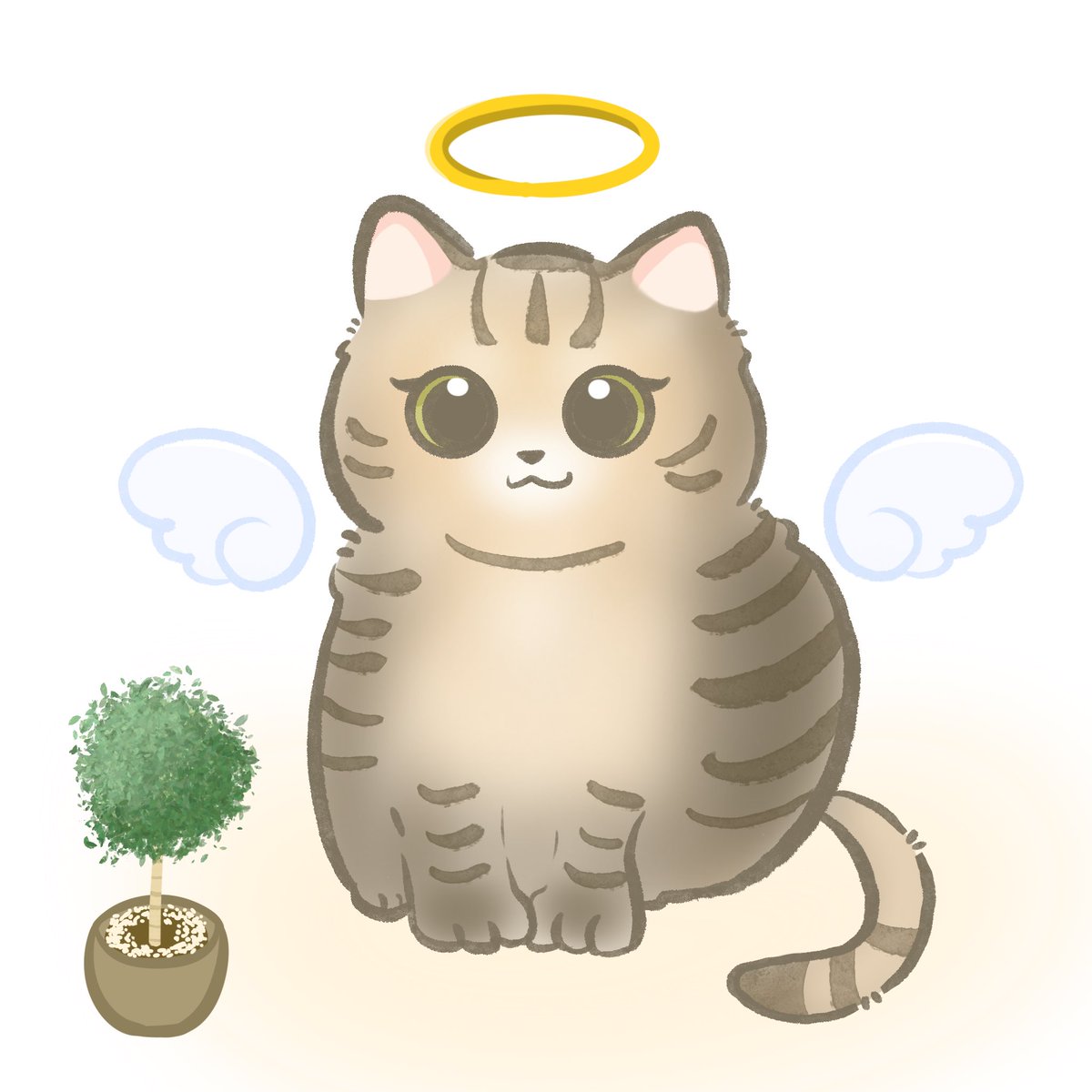 淺夏柒柒 tweet media