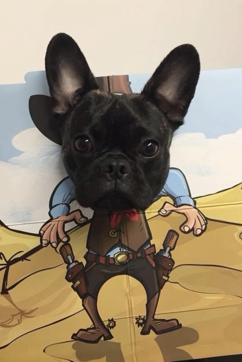 Matthew Kolken tweet media