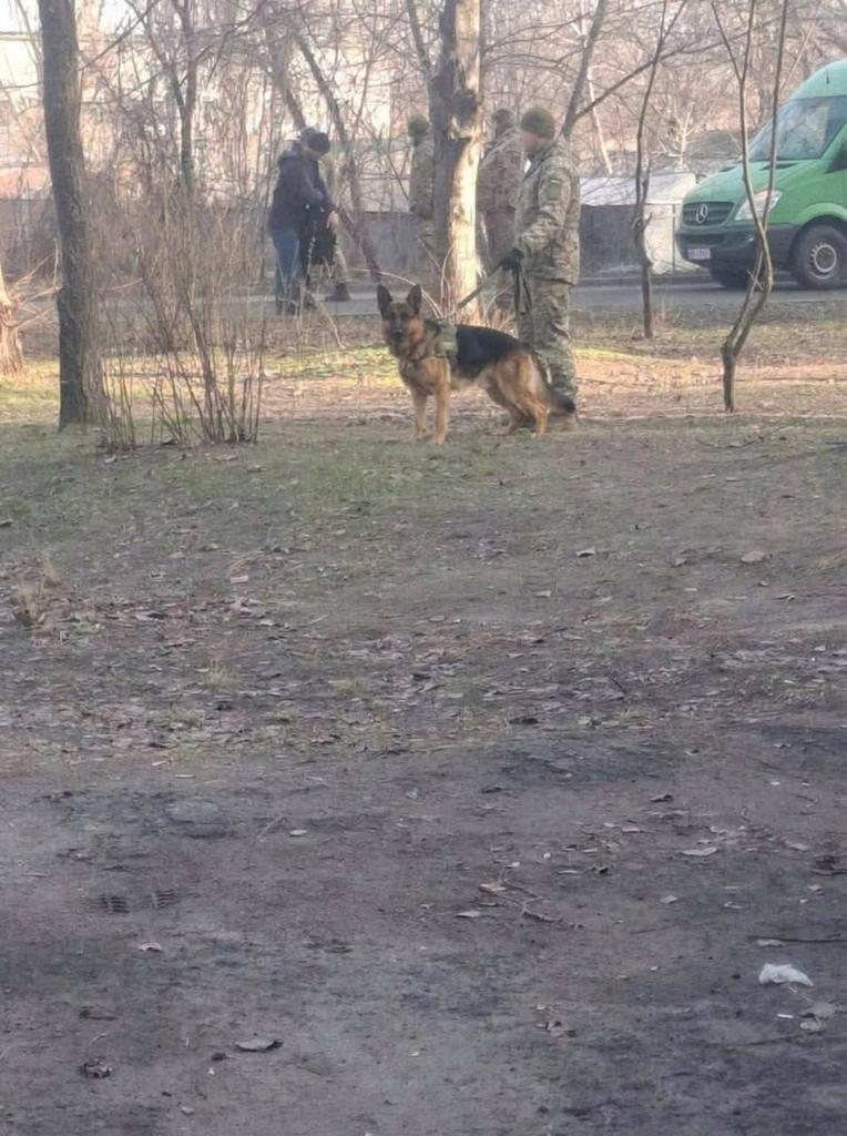 Danil Kardashov tweet media