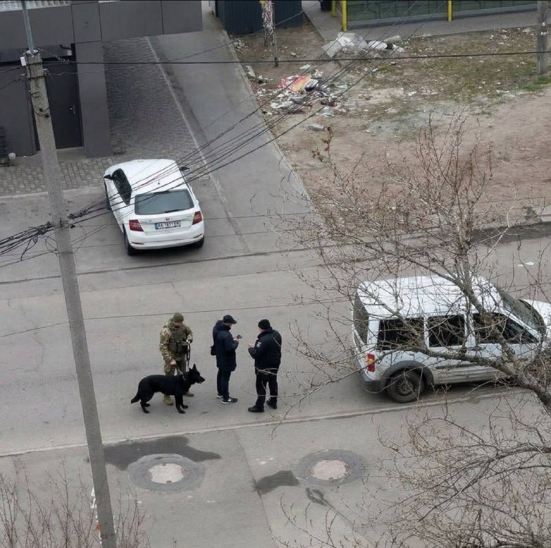 Danil Kardashov tweet media