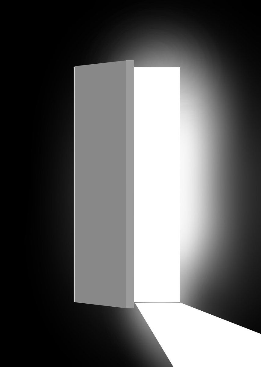 hamster salad tweet media