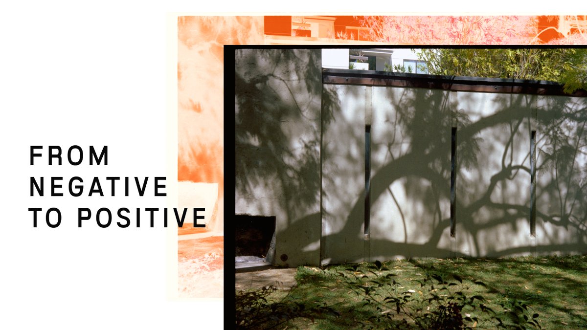 Capture One tweet media