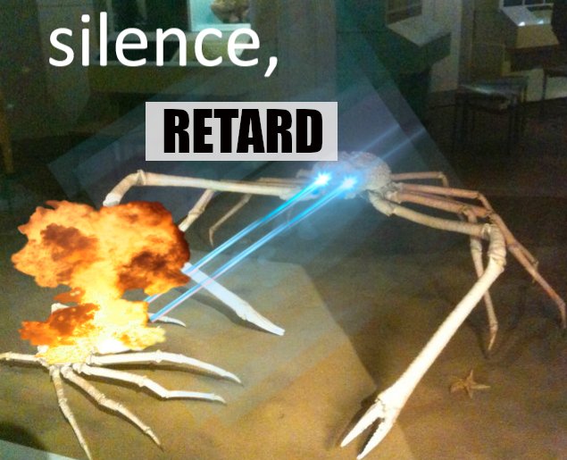 Persephone DaSilva tweet media