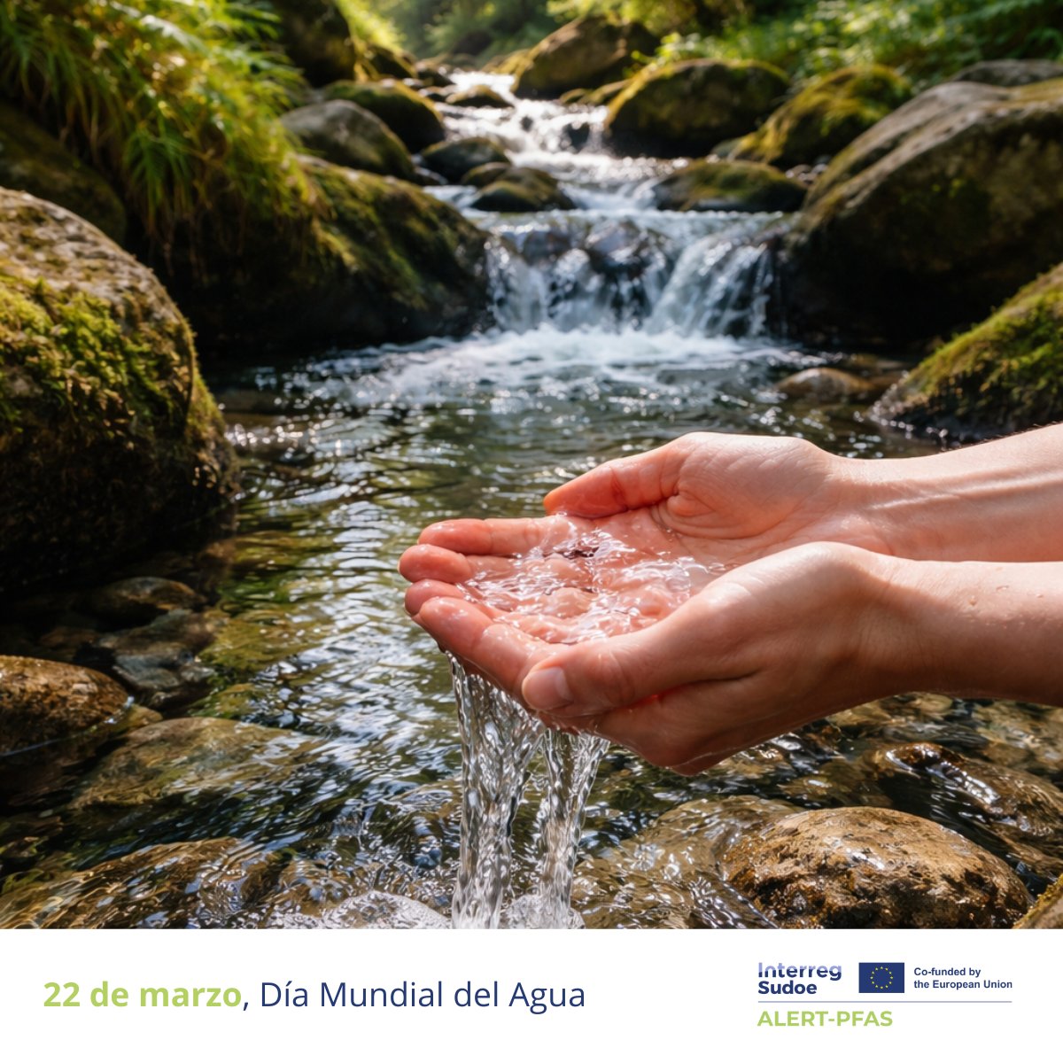 AlertPfas's tweet photo. Hoy, #DíaMundialDelAgua, recordamos que proteger el agua también es anticipar riesgos invisibles.

Los #PFAS, contaminantes persistentes, nos obligan a mejorar el conocimiento, los datos y la gestión para cuidar un recurso esencial. https://t.co/Hmh3wKgqiV