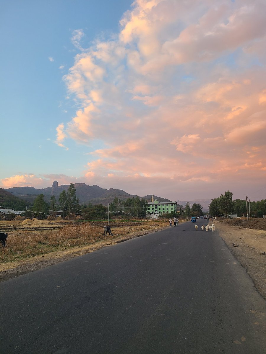 ልጅ አንበርብር (Tado)✝️ tweet media