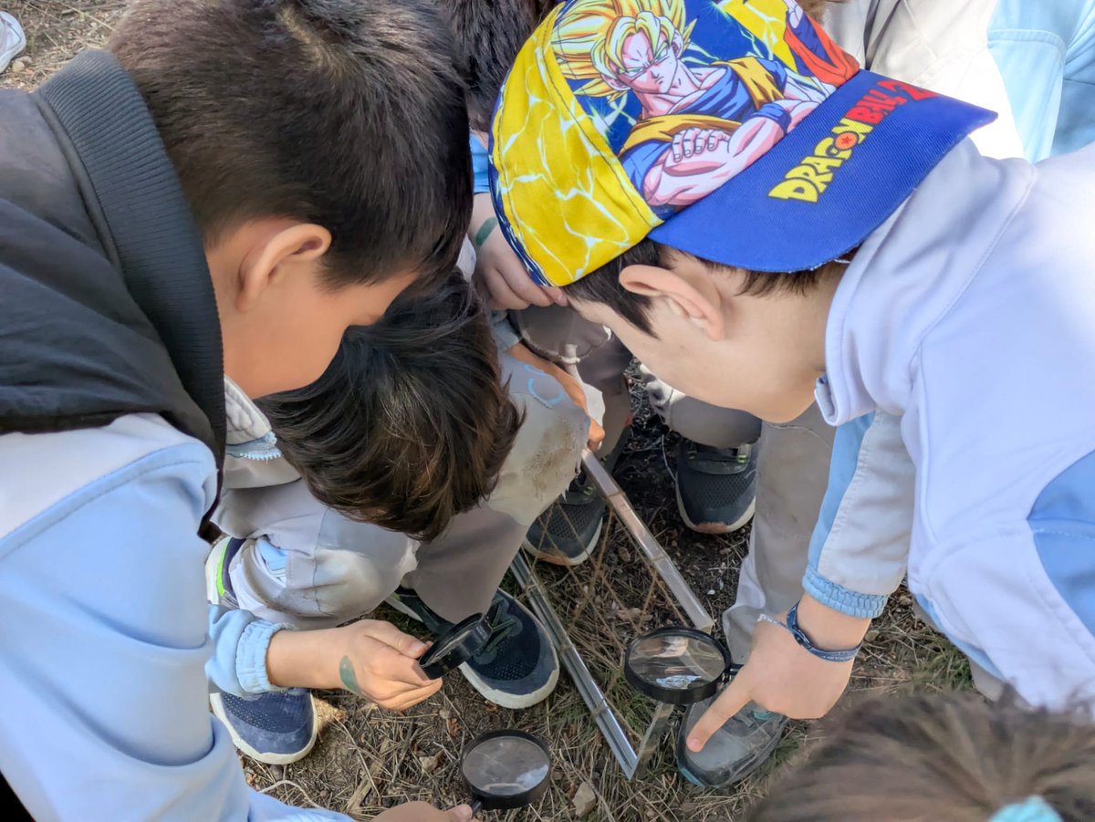 carmelitestgn's tweet photo. #ADMXC #PRIC Sortida de 3r de primària a Can Foix. Explorem el bosc! #aprenemfent #gaudimdelanatura #viucarmelites https://t.co/kKWsWejmvP