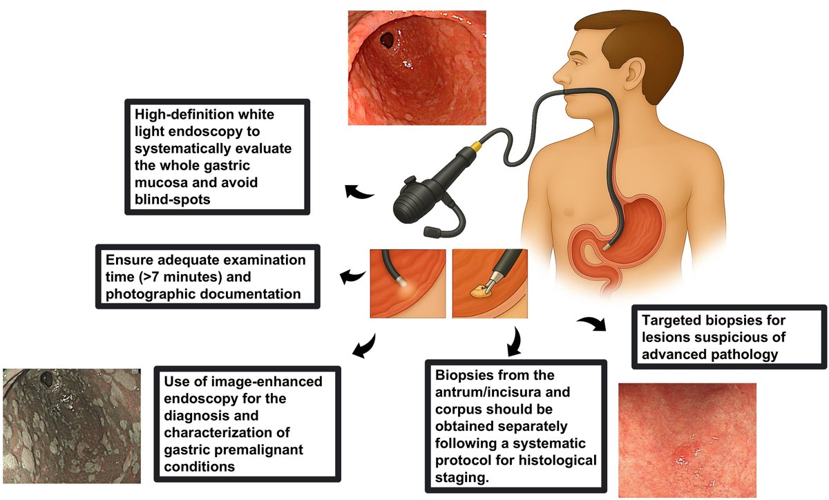 Gut Journal tweet media