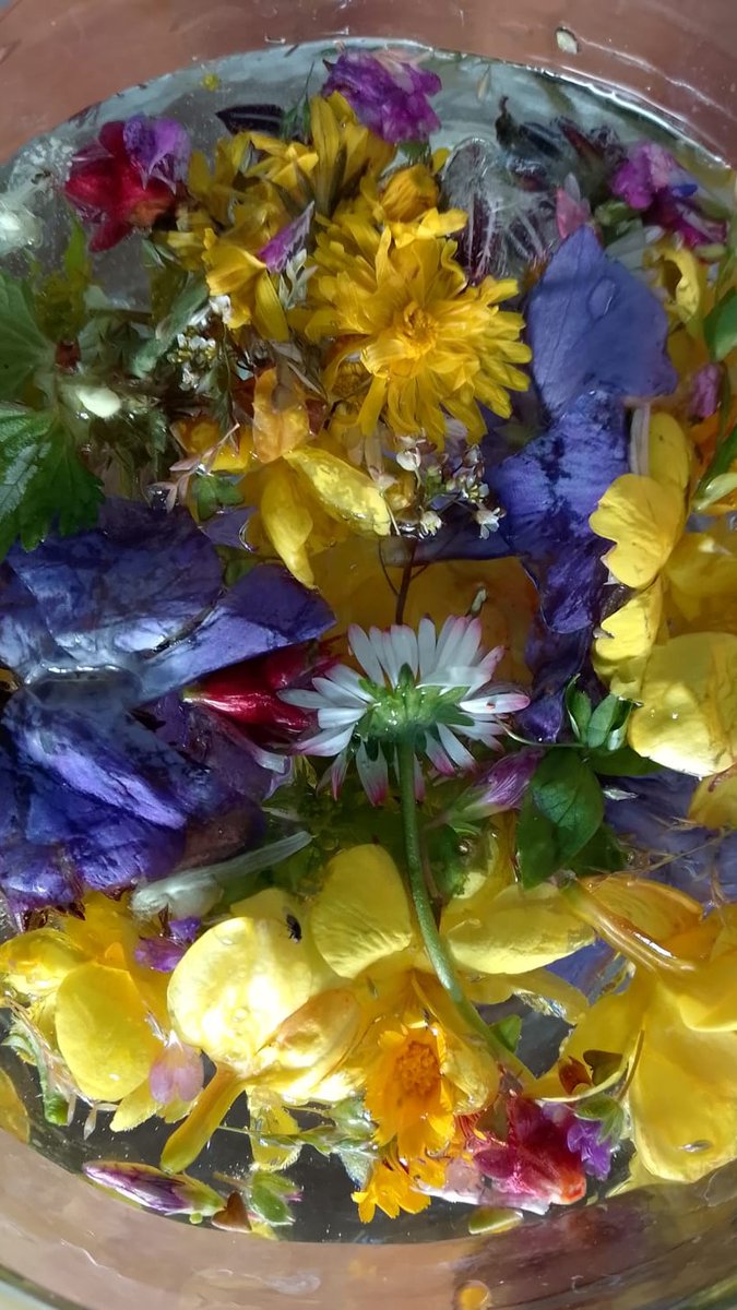 ╤👁️⃤π⊙ℭ☾⌖ tweet media