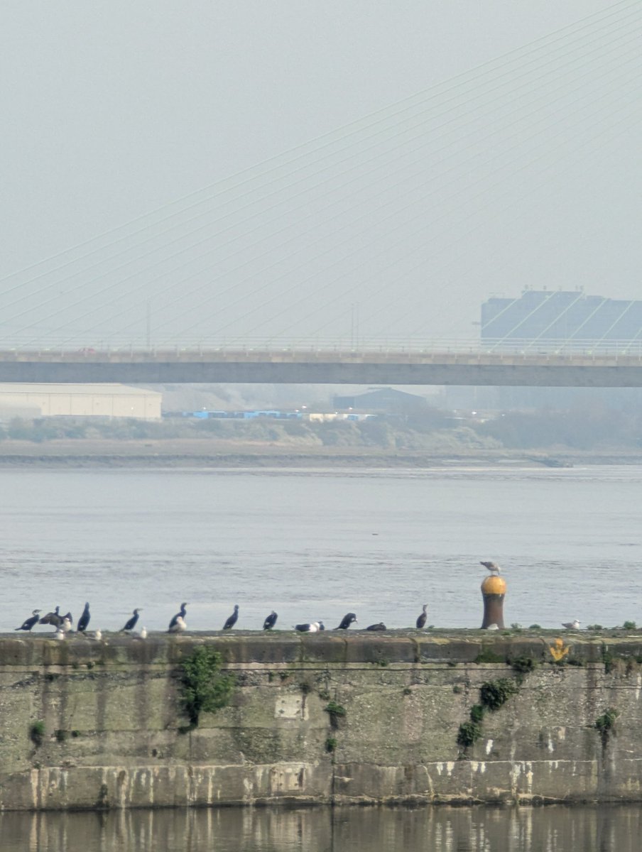 Jon Kenna tweet media