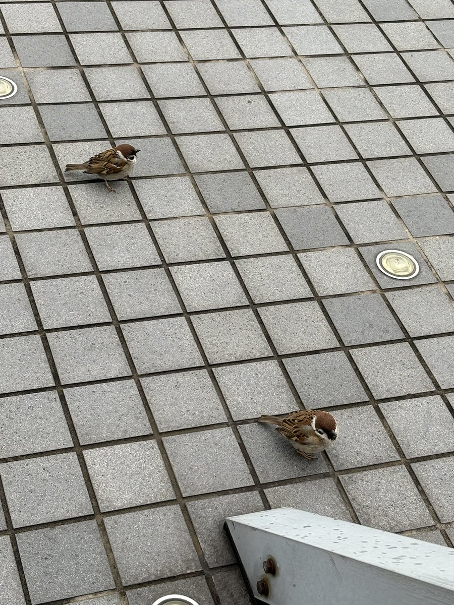 Orfevre45's tweet photo. 寒い！😨
＃羽田空港 https://t.co/alWDlsYFYE