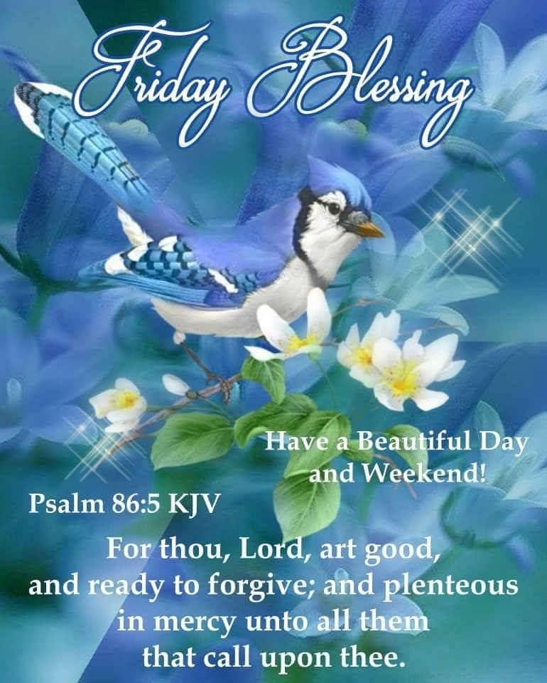 Vanessa A. G. Bowley tweet media