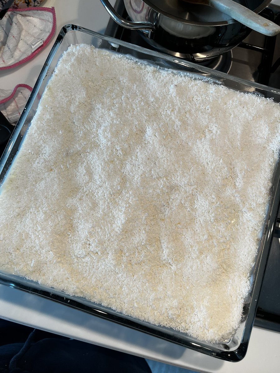 hamsi 🐟 tweet media