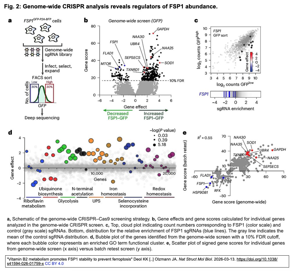 CRISP_SCIENCE tweet media