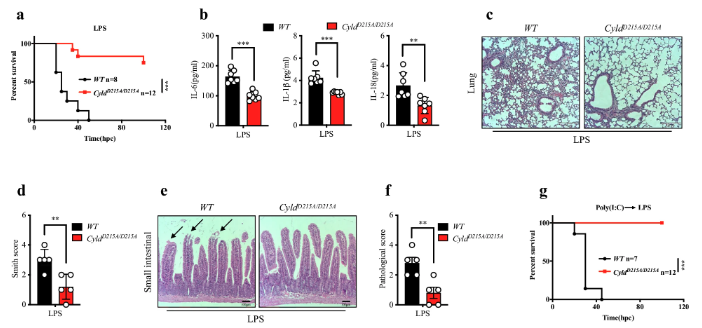 CDD press tweet media