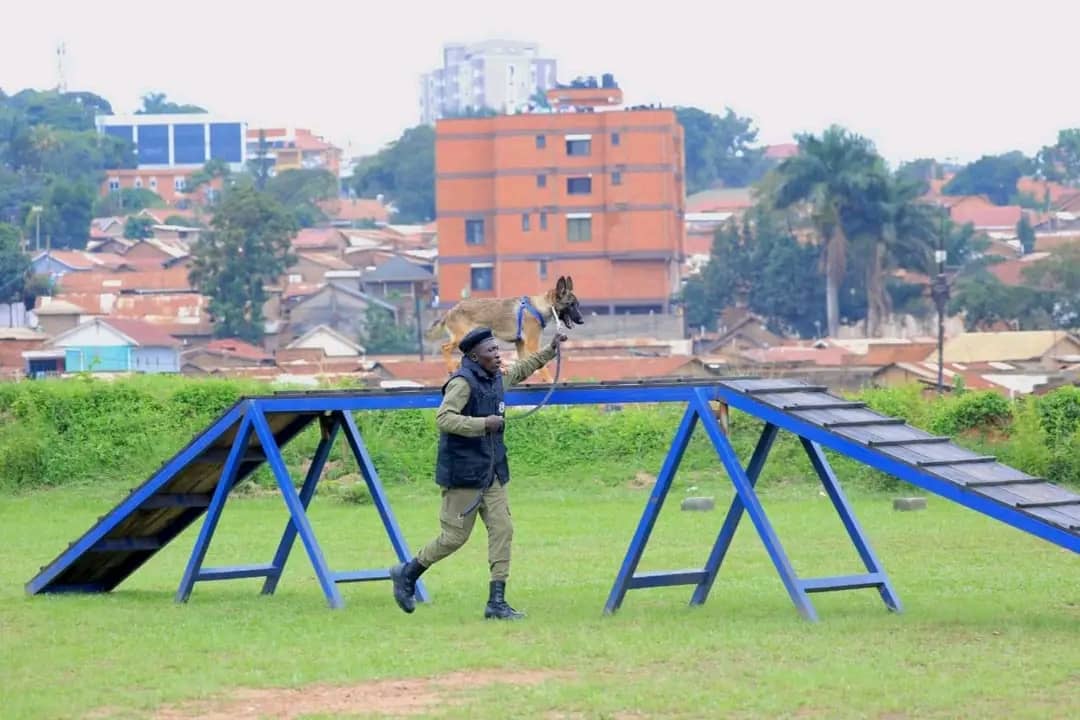 Patrick Onyango tweet media