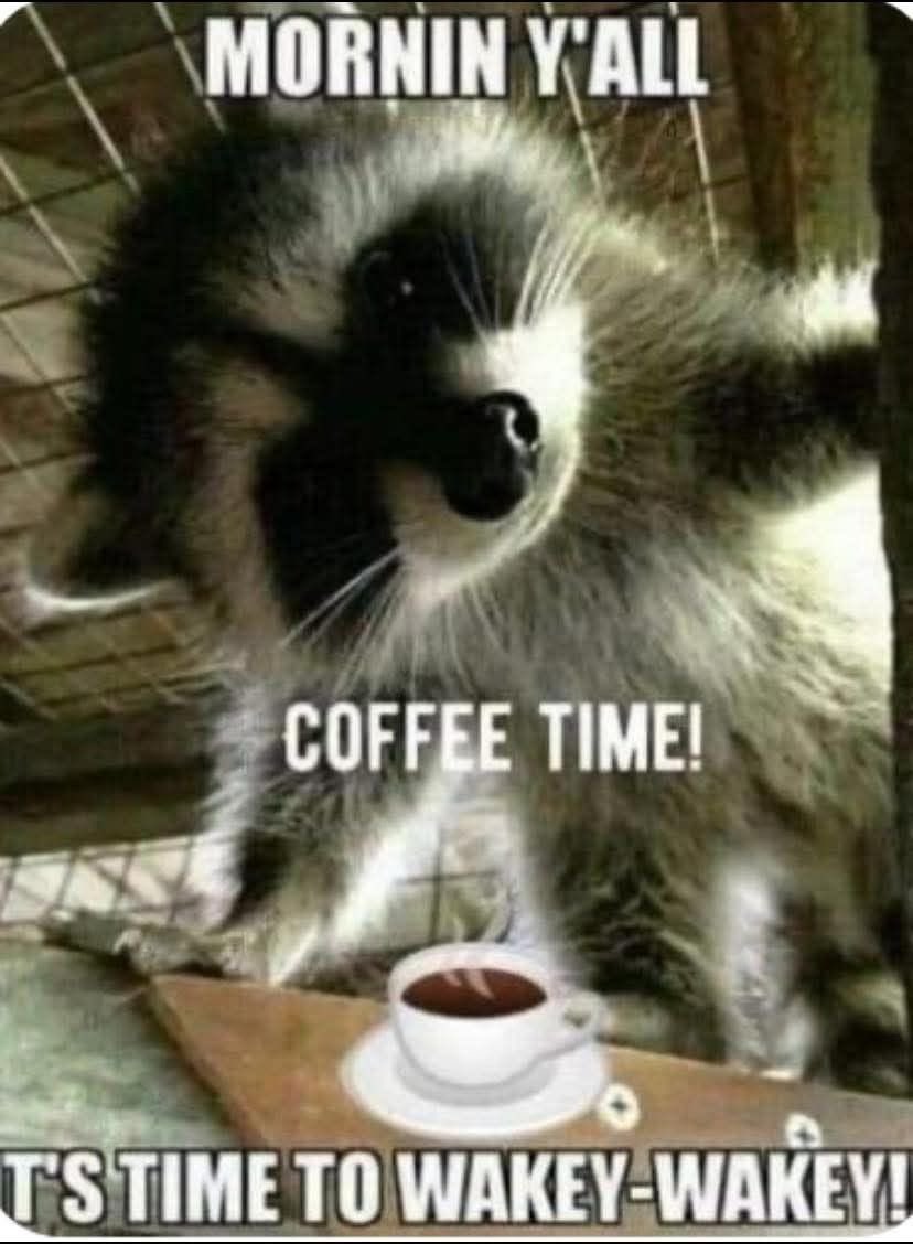 💯👊Russell👊💯 tweet media