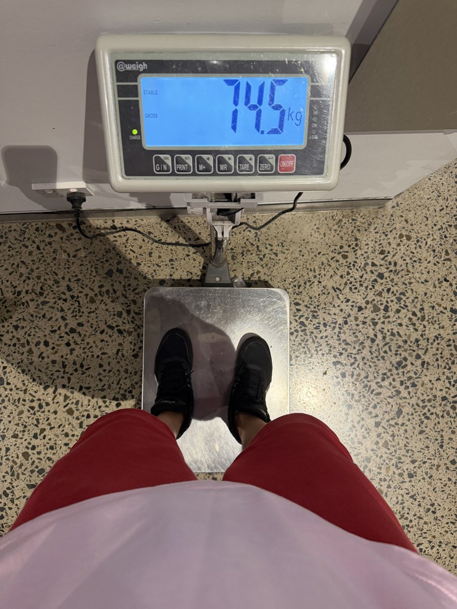 通透 Lee tweet media