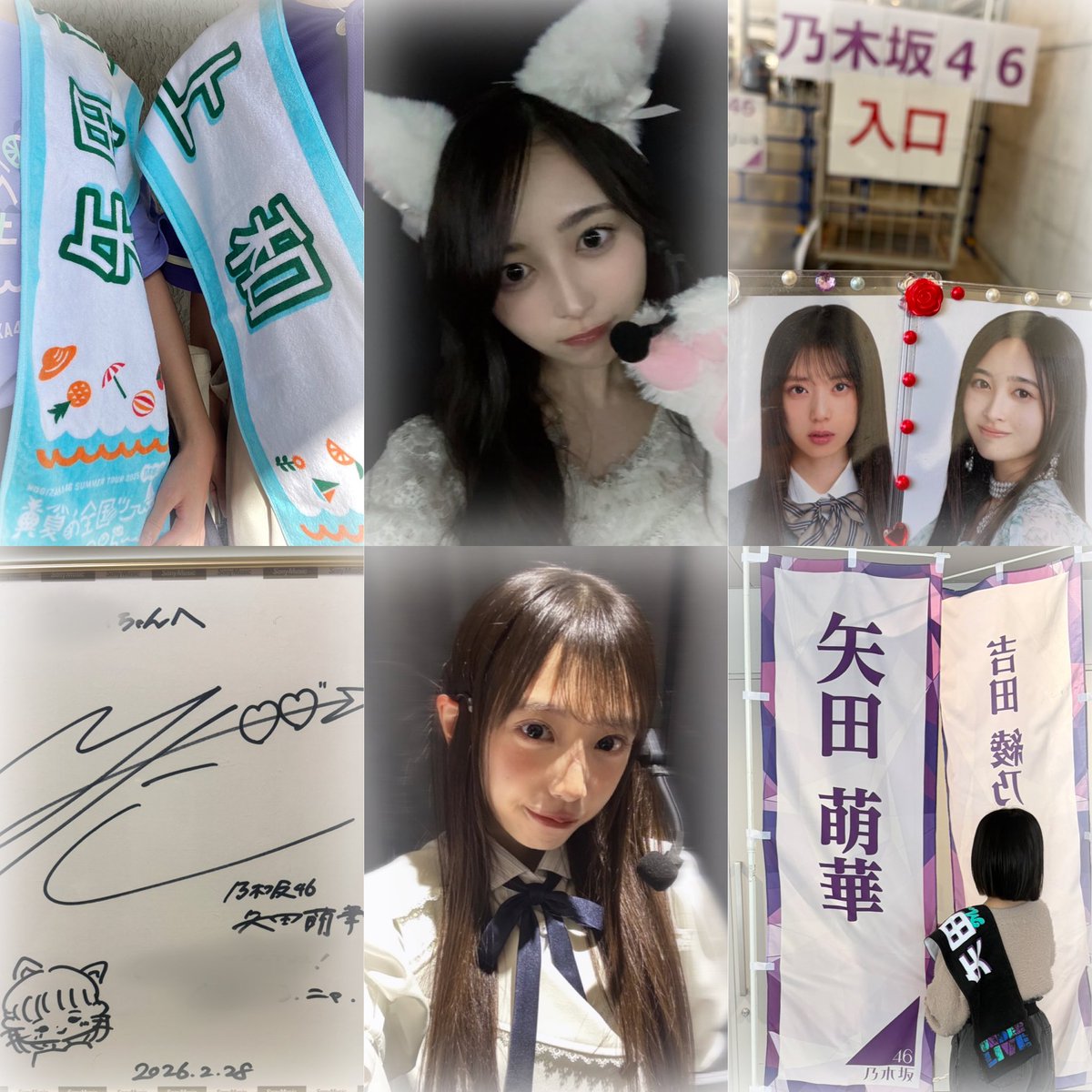 ひかる🐈🐾 tweet media