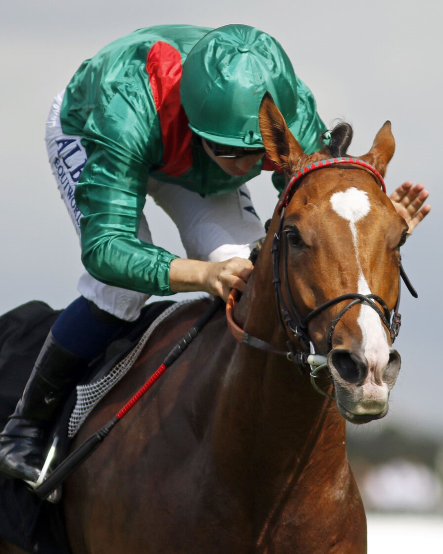 Aga Khan Studs tweet media