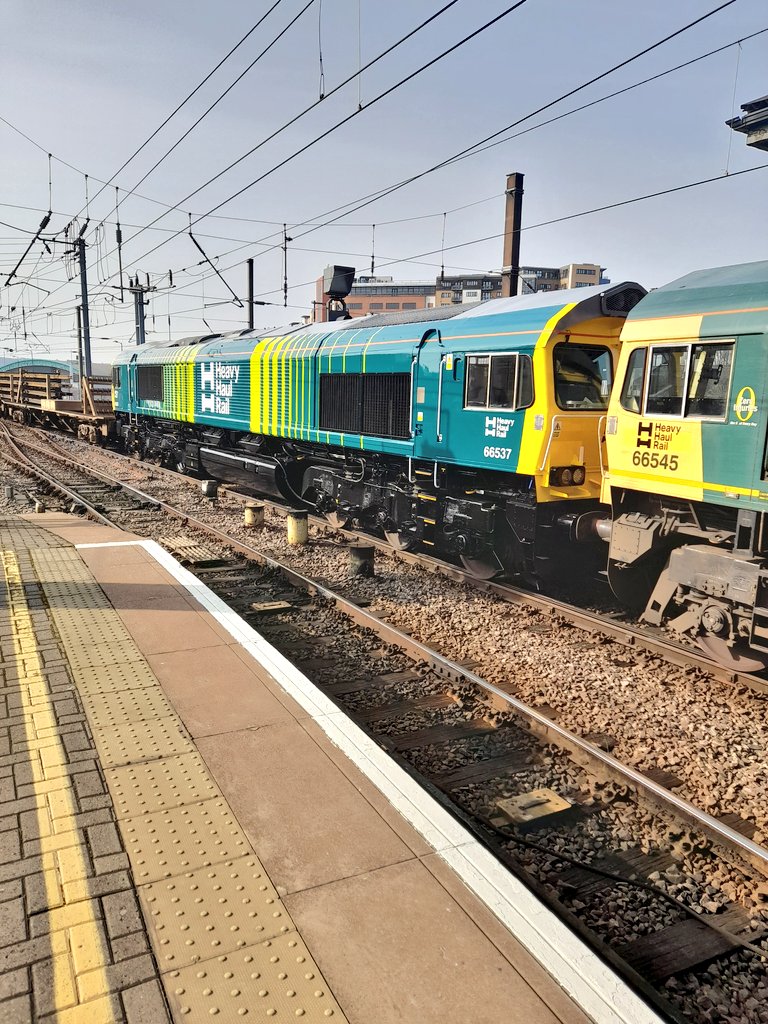 john sparrow tweet media