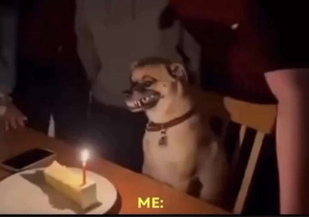 𝑭𝒓𝒆𝒅🦇 tweet media