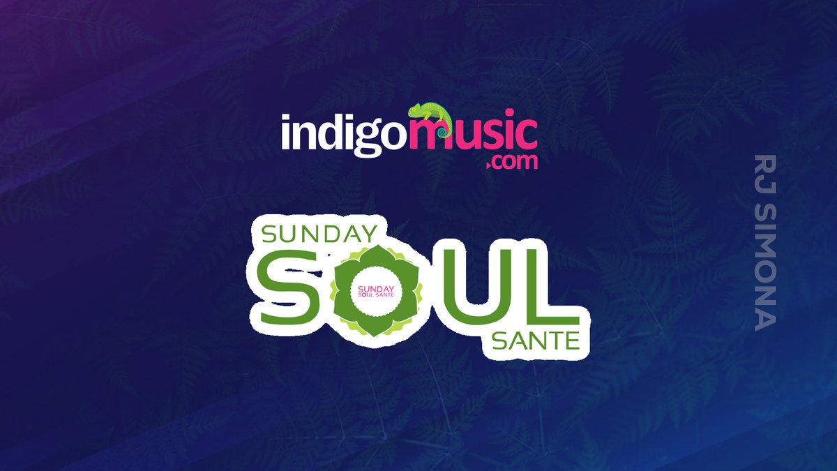 IndigoMusic.com tweet media