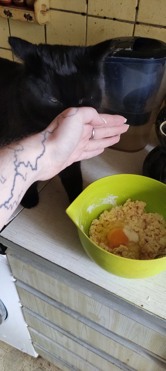 счастливо гадючится 🏹 tweet media