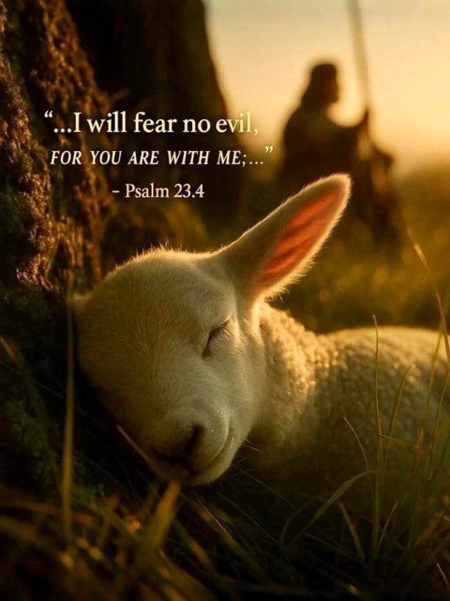 Psalm 23:4