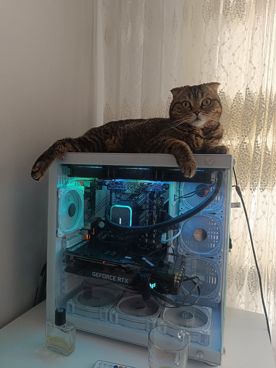 Temirhan Bey tweet media