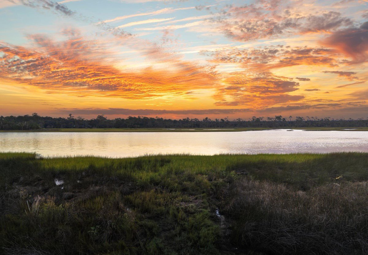 The PARC Group tweet media