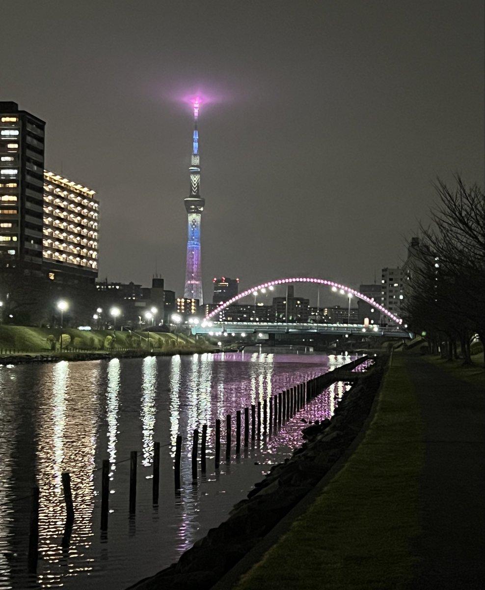 けふのスカイツリー🌃