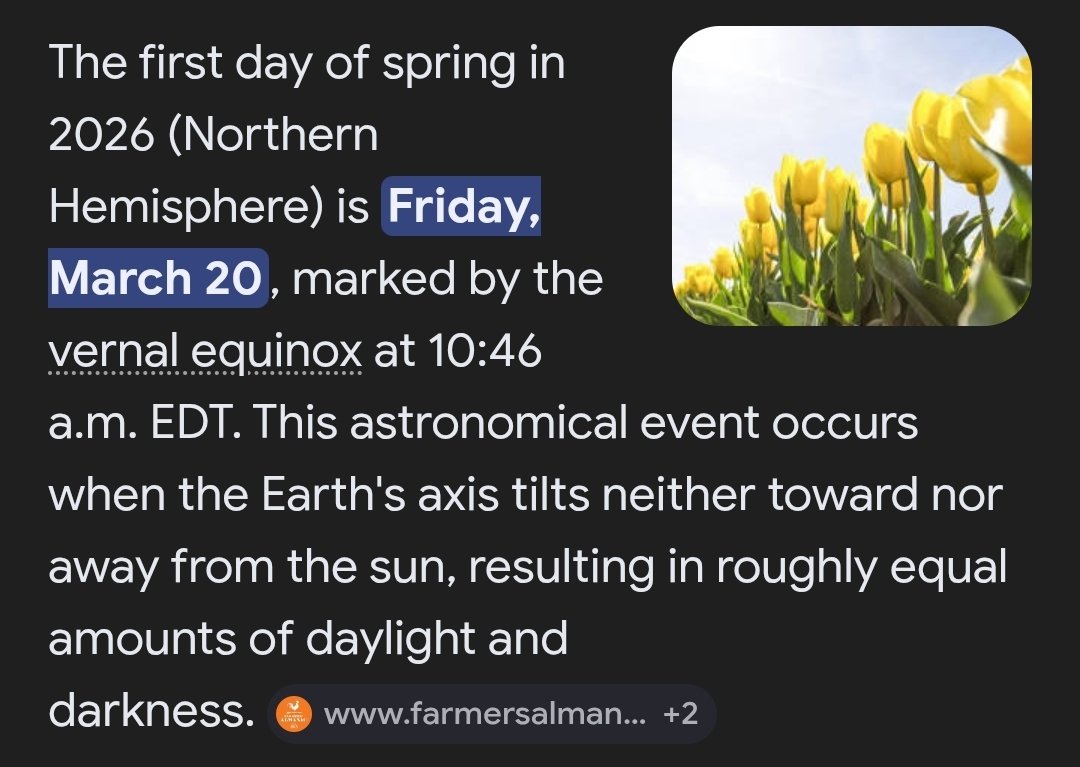 Lord Based Doc Holiday tweet media