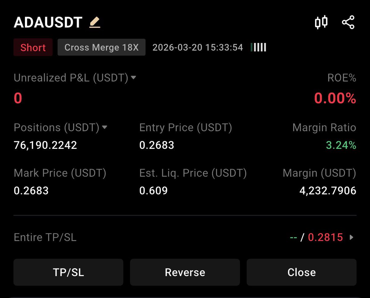 Owl Prints tweet media