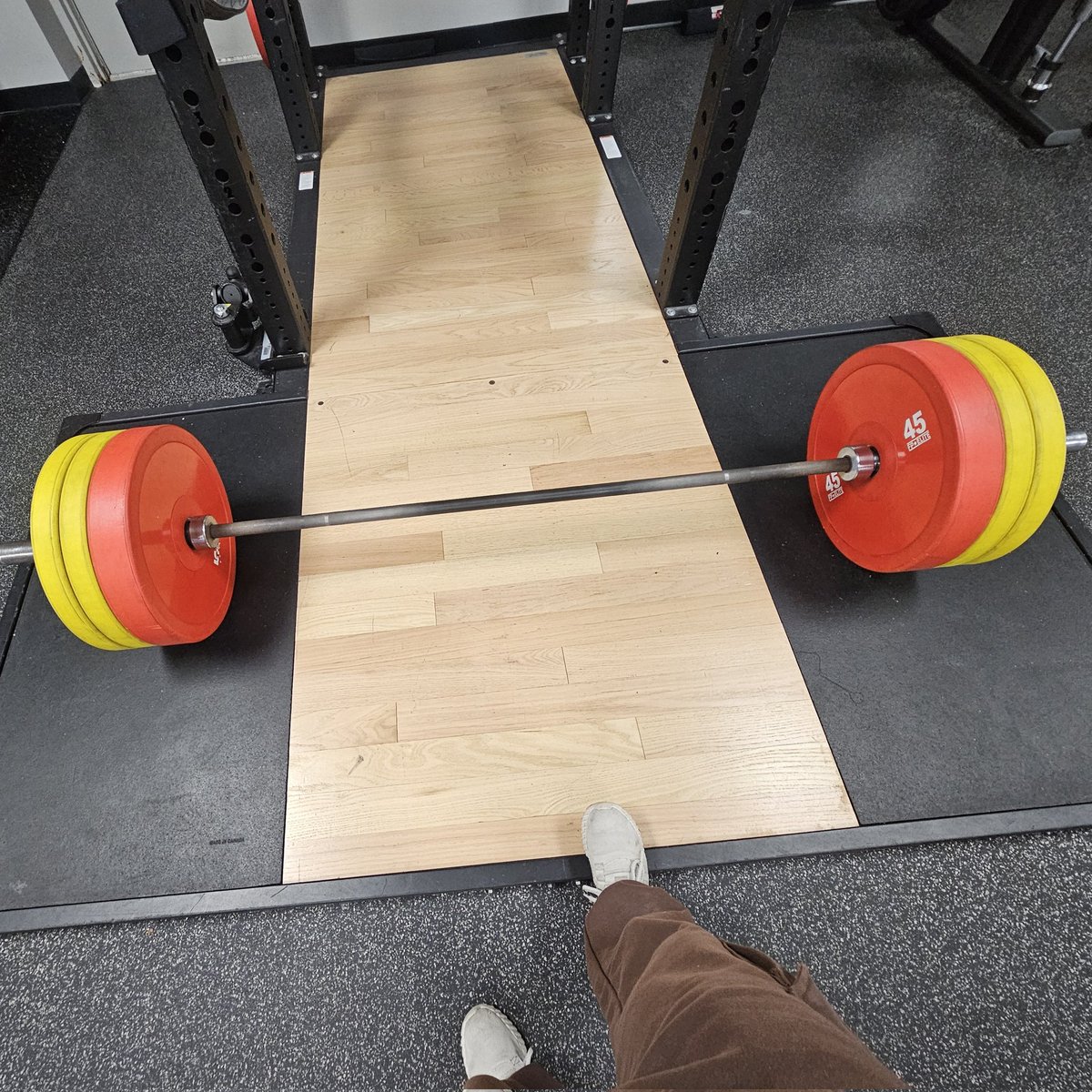 alexandra tweet media