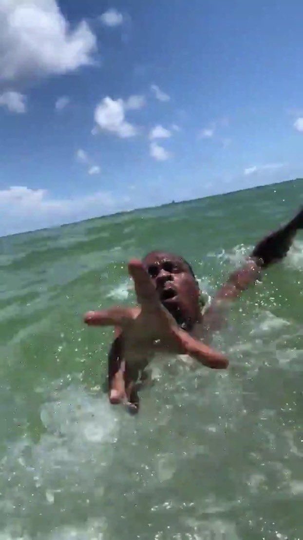 DevIn Progress tweet media