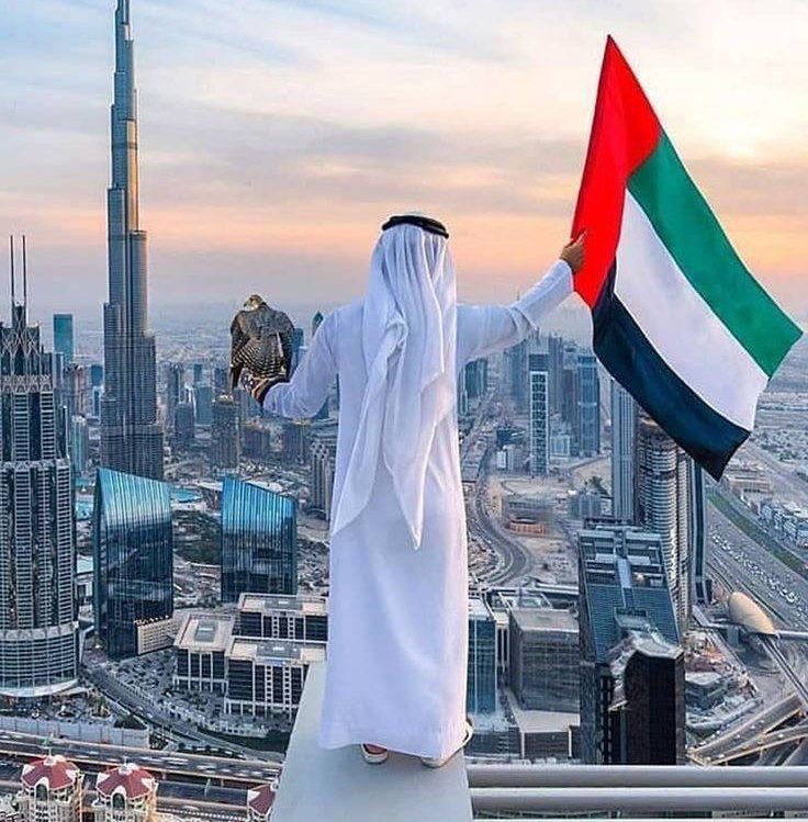 Sam 🇮🇷 tweet media