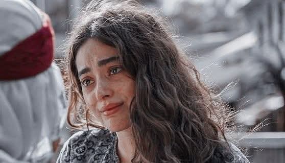 sultan. mirza tweet media