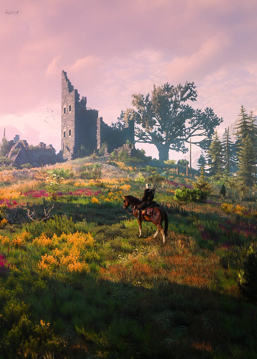 Ayob_VP (ْأَيُوب) tweet media