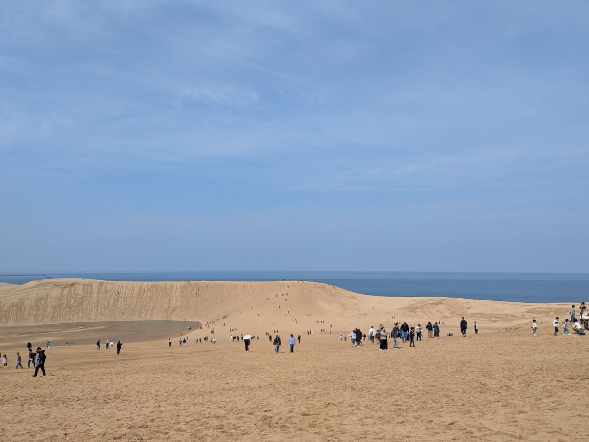 ろん#🎮 tweet media