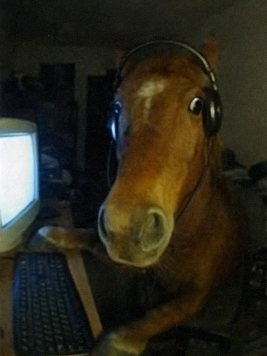 Some Conch tweet media