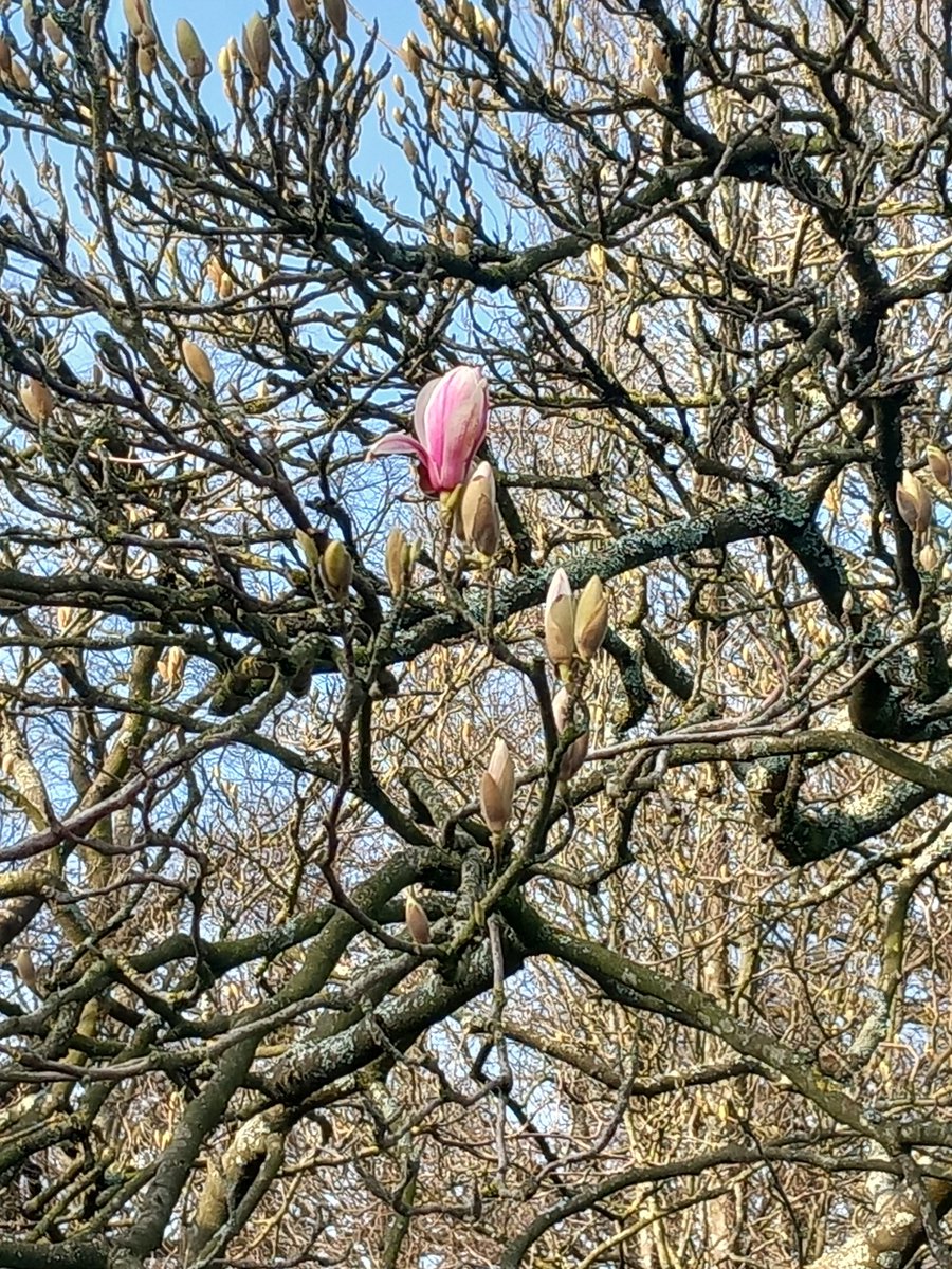 The Tourette's in my head tweet media