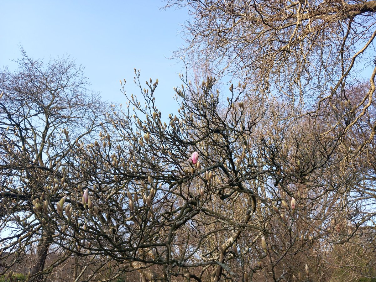 The Tourette's in my head tweet media